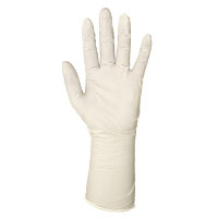 Bagged Cleanroom Gloves